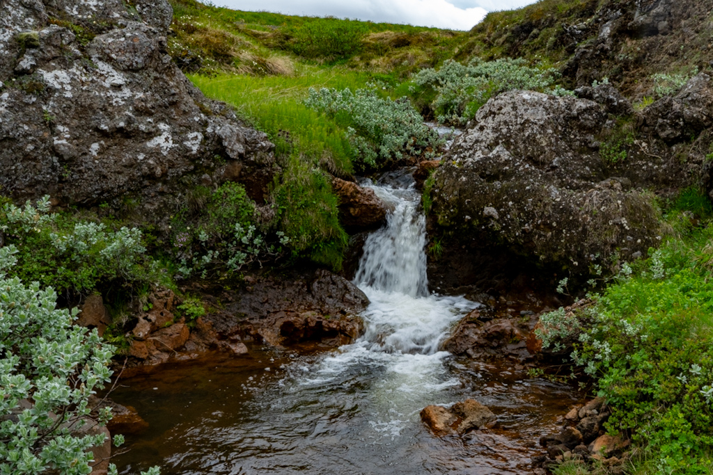 Photography by Chris Allington